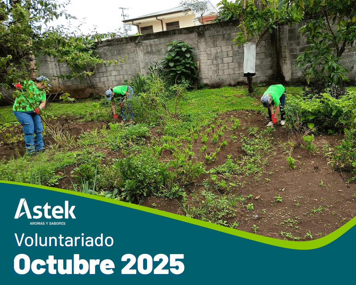 En ASTEK creemos que cada acci贸n cuenta cuando se trata de construir un futuro m谩s sostenible. Por eso, recientemente participamos en una jornada de voluntariado en la Huerta Comunitaria Huella F茅rtil, ubicada en la comunidad de Bel茅n, en colaboraci贸n con la Municipalidad del cant贸n.